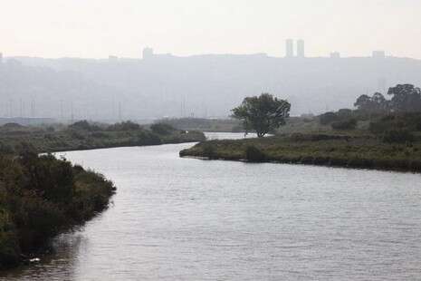 צילום: מקס ילינסון צילום: מקס ילינסון