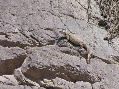 �����: ��� �����, ���� ���� ������