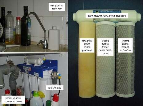 צילום: אלון גנני צילום: אלון גנני