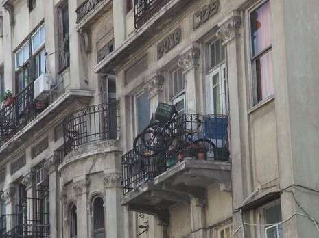 צילום: נאור רהב צילום: נאור רהב