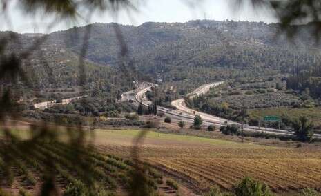 צילום: פלאש 90 צילום: פלאש 90