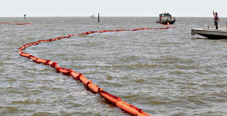 צילום: איי-פי צילום: איי-פי