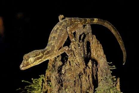 צילום: איי-פי צילום: איי-פי