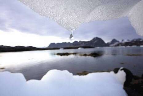 צילום: גטי אימג'ס צילום: גטי אימג'ס
