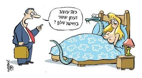 איור: מושיק לין איור: מושיק לין