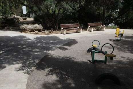 צילום ארכיון: נאור רהב צילום ארכיון: נאור רהב