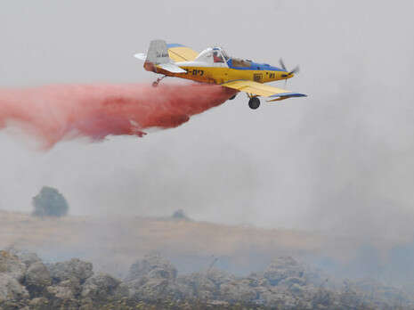 חמד אלמקת חמד אלמקת
