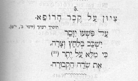 מתוך הספר מתוך הספר