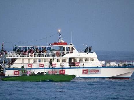 ����� ������: ������