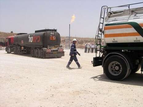 אבינעם הדס אבינעם הדס