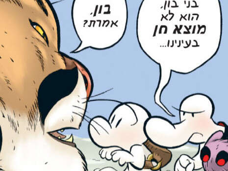 יח''צ יח''צ