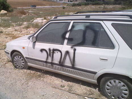 צילום: מקס ילינסון צילום: מקס ילינסון