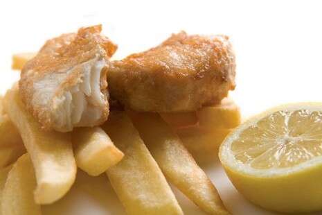 צילום: יח''צ צילום: יח''צ