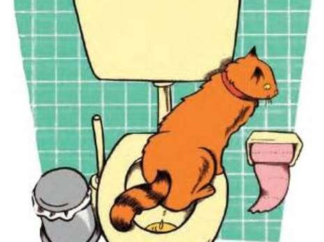 איור: רחלי שלו איור: רחלי שלו