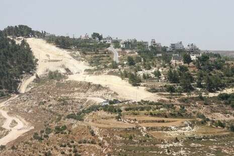 צילום: שימי נכטיילר צילום: שימי נכטיילר