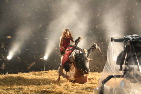 צילום: מרתה פינסי צילום: מרתה פינסי