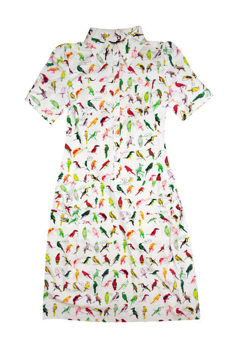 �����: ���� ����