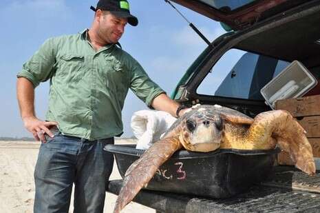 �����: ���� ���, ���� ���� ������