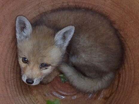 ����� ������� ������ �������