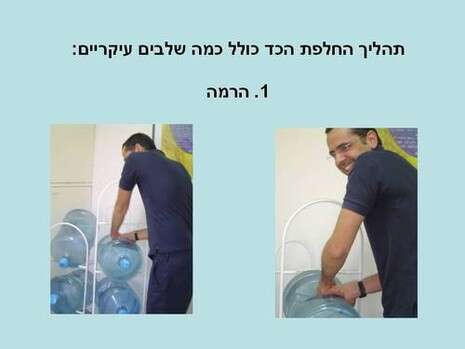 באדיבות ווסאבי ושימפנזה באדיבות ווסאבי ושימפנזה