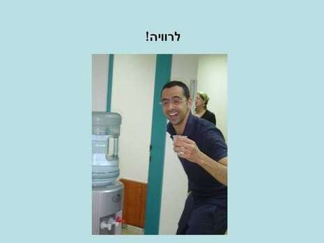 באדיבות ווסאבי ושימפנזה באדיבות ווסאבי ושימפנזה