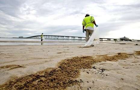 צילום: אי-פי-איי צילום: אי-פי-איי
