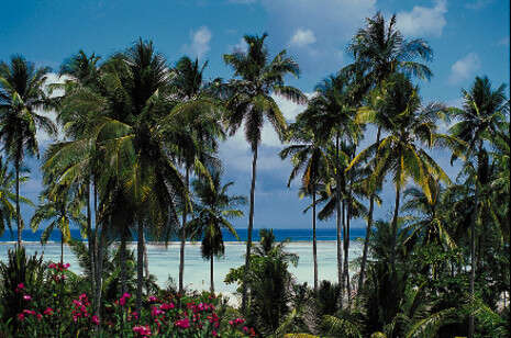 צילום: אקו טיולי שטח צילום: אקו טיולי שטח