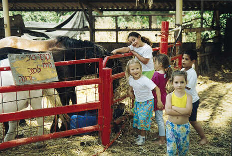 �����: ��''�