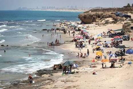 צילום: רענן כהן צילום: רענן כהן