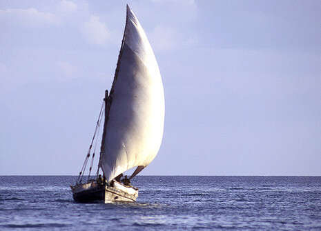 צילום: אייל ברטוב, אקו טיולי שטח צילום: אייל ברטוב, אקו טיולי שטח