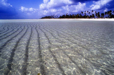 צילום: אייל ברטוב, אקו טיולי שטח צילום: אייל ברטוב, אקו טיולי שטח