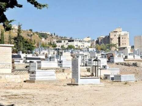 צילום: יגאל לוי צילום: יגאל לוי
