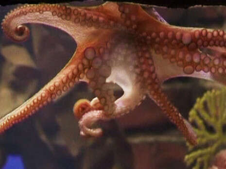 צילום: רויטרס צילום: רויטרס