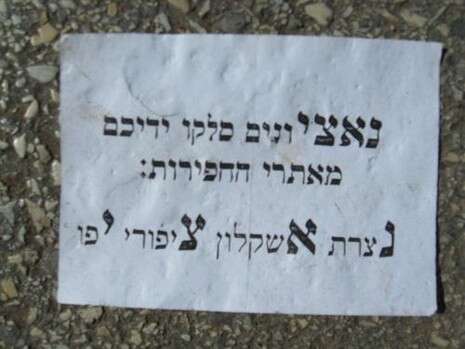 �����: ������ ������� ������ ''����� 24''