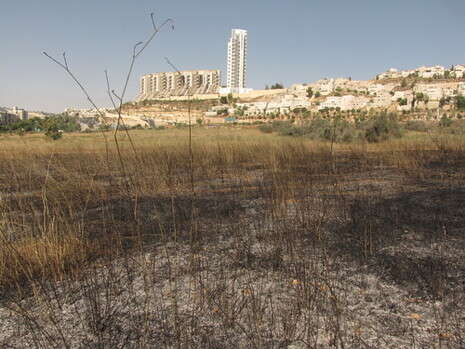 �����: ����� ����� ����