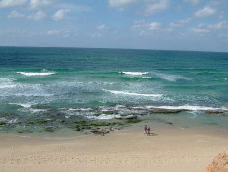 צילום: דובי זכאי צילום: דובי זכאי