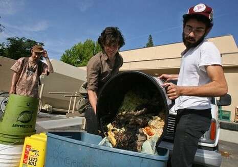 צילום: MCT צילום: MCT