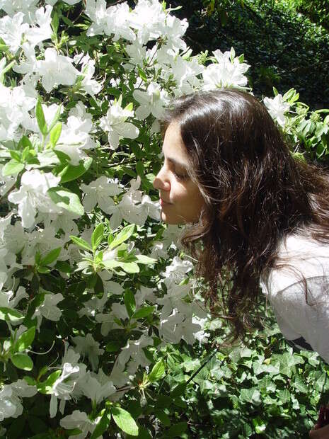 צילום: נופר חיימוביץ' צילום: נופר חיימוביץ'