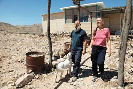 צילום: יהודה לחיאני צילום: יהודה לחיאני