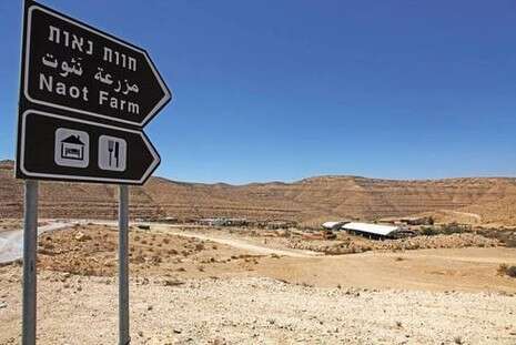 צילום: יהודה לחיאני צילום: יהודה לחיאני