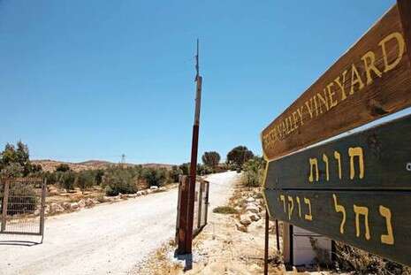 צילום: יהודה לחיאני צילום: יהודה לחיאני