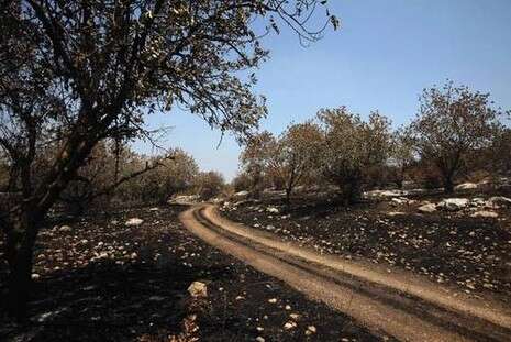 צילום: יוסי אלוני צילום: יוסי אלוני