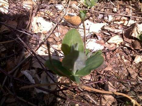 צילום: שחר דבח צילום: שחר דבח