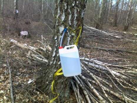 צילום: שחר דבח צילום: שחר דבח