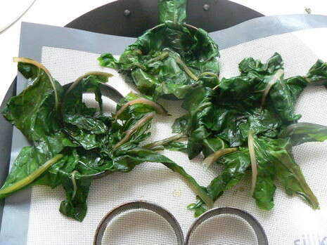 צילום: יובל הימן צילום: יובל הימן