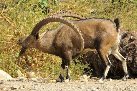 �����: ��''�