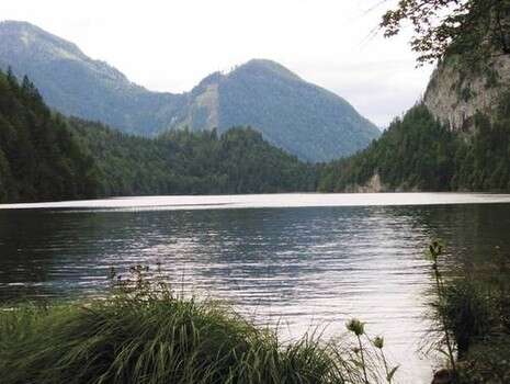 �����: ���� �����