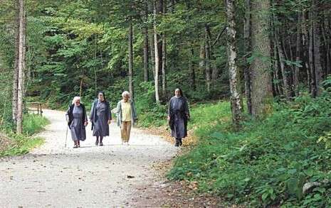 �����: ���� �����