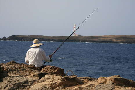 צילום: SXC צילום: SXC