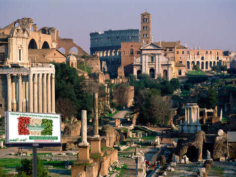 צילום: יח''צ צילום: יח''צ